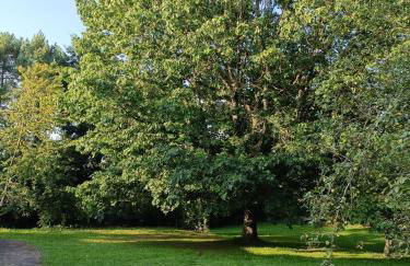 Maison de famille 8-9 personnes - Foto 3