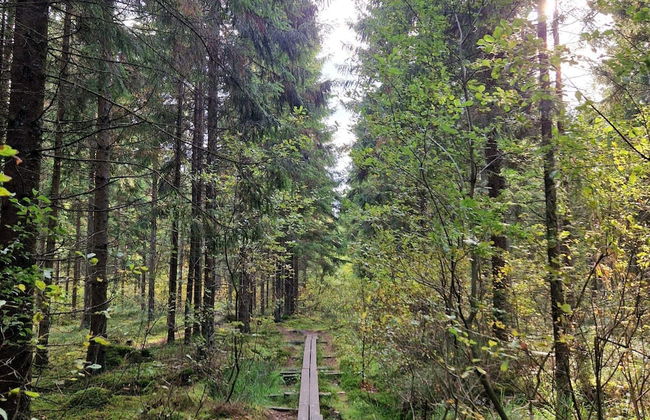 4 Star Holiday Home in Skovde-by Traum - Photo 23