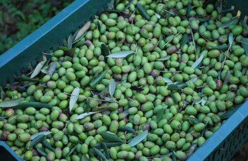 A Casa Del Tosi - Foto 54