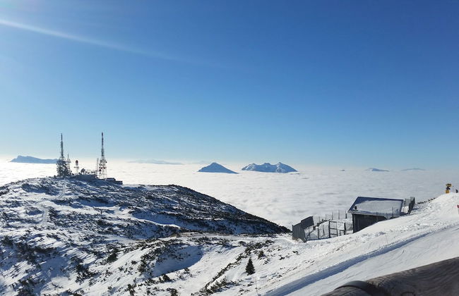 La Villa Dei Fiori - Photo 45