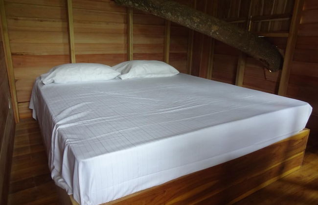 Wilpattu Tree House Hotel - Foto 11