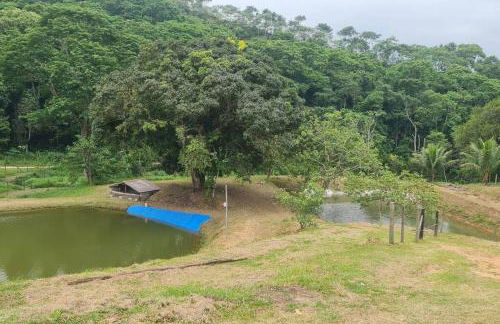 Loft com piscina natural em Cachoeiras de Macacu - Foto 44