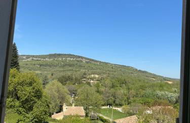 La Boissetane, maison provençale avec piscine et jardin, au pied du Luberon - Foto 31
