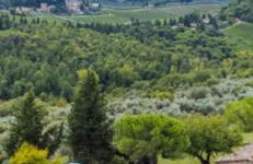 Il Fiorino di Badia - Foto 24