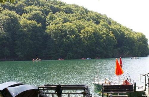 Apartment in Feldberger Seenlandschaft - Foto 35