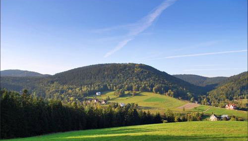 Miodowe Zacisze - Foto 4