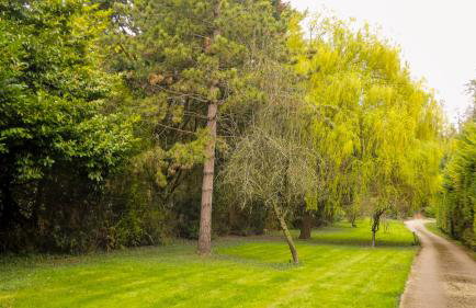 Appartement T2 au Calme - WiFi rapide, Parking & Bureau - Foto 10