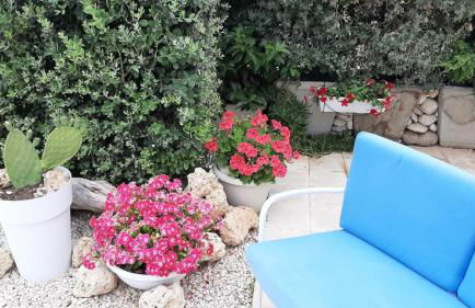 stella di ponente - Foto 6