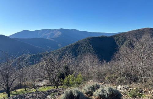 Le Châtaignier - Foto 8