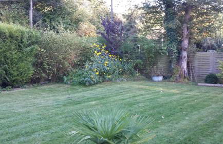 Studio Chantilly - Foto 9