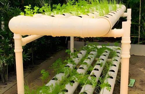 Villa dos Sonhos - Vá de caiaque até o mar - Photo 10