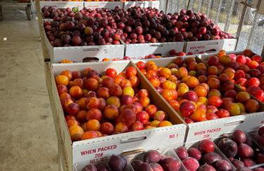 Sandy Shores - Foto 31