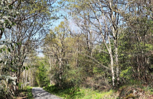 4 Person Holiday Home in Stravalla - Foto 13