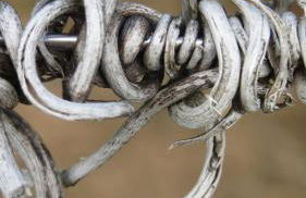 La Maison du Clos du Roi - Foto 75