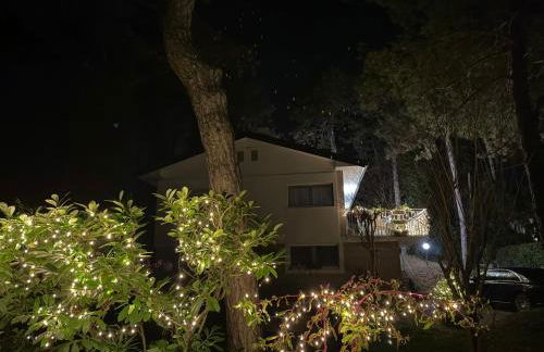 Villa Greif - Foto 22