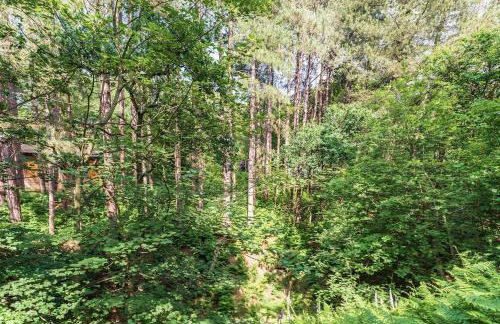 Tree Tops - Norfolk Cottage Agency - Photo 14