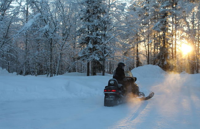 Villa Havula - Foto 17