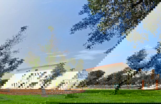 Masseria Sant'Eleuterio - Foto 43