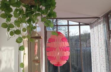 Coquette Maison, Côté Château à Mutzig en Alsace - Foto 17