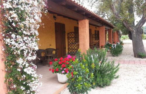 Agriturismo La Barca In Secca - Foto 19