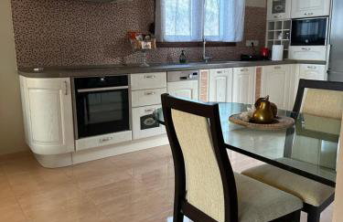 Gavrilis apartments II - Foto 20