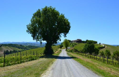 Villa Castel Rocchero - Foto 32