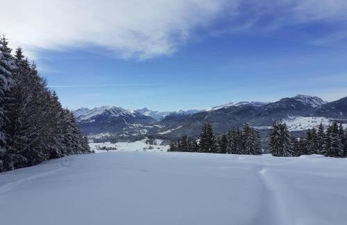 Ponyhof Schöllang - Foto 33