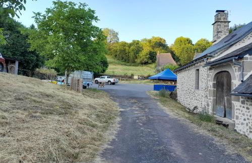 Nouveau - Maison Nierveze proche Lioran - Photo 6