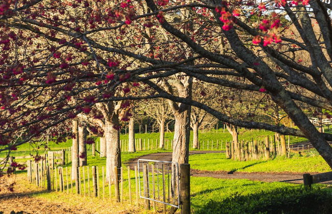 Aroma House - Photo 36