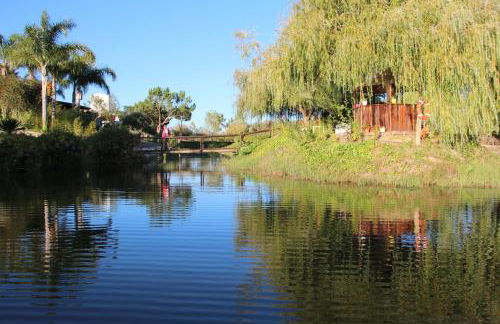 Herdade do Sardanito da Frente - Foto 48