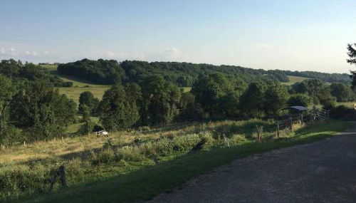 Le Côtier - Photo 4