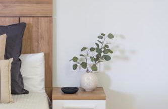 VLC HOST - Reino - Photo 1