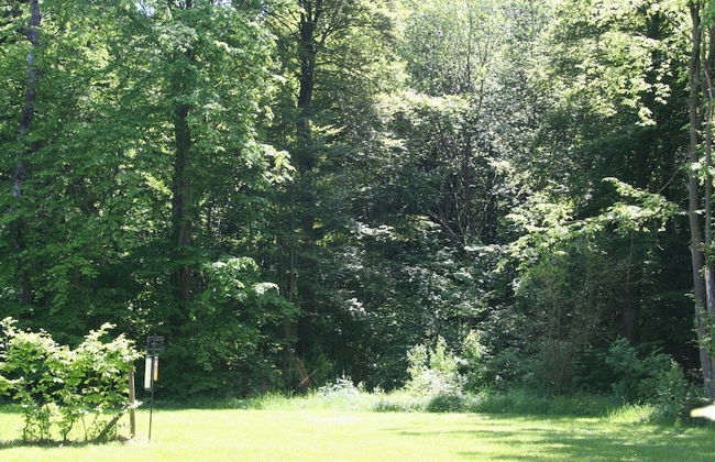 Bungalow in Eifel Near Mountain Trails - Foto 27