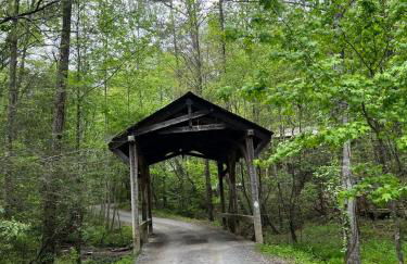 Log Cabin with Mountain View and Privacy - Foto 62