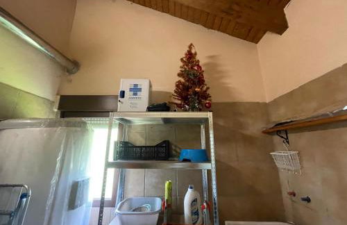 Casa Trasgu de Tornín-Cangas de Onís- Enjoy life in Asturias - Foto 50