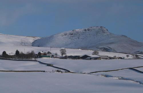 Woodpecker Lodge - Foto 28