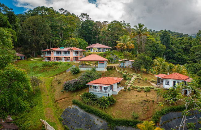 Colinas Tinamastes - Foto 71