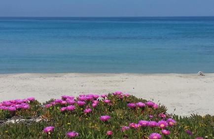 casa azzurra - Foto 15