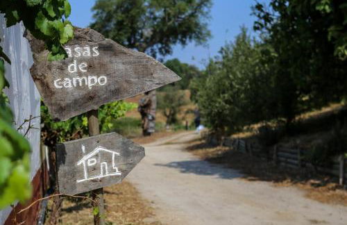 Monte Do Areeiro - Foto 46