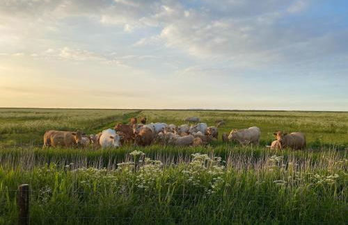 Greetjehaus in Westerbur - Foto 22