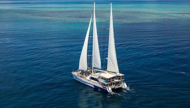 Cruzeiro Ocean Spirit Michaelmas Cay - Foto 2