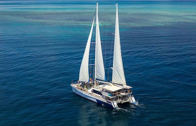 Cruzeiro Ocean Spirit Michaelmas Cay - Foto 2