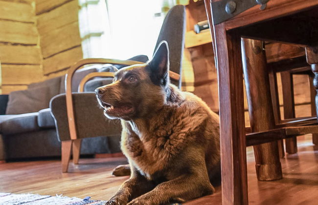 Tuomaantupa - Foto 15