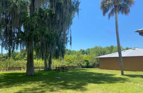 Professor Rousseau's Tiki Hideaway - Foto 33