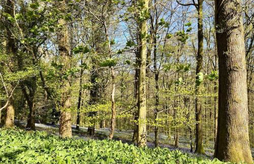 The Cider House Holiday Cottage - Foto 21