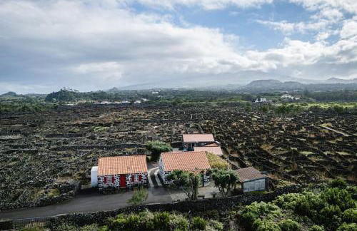 Adega dos Virgilios - Photo 14