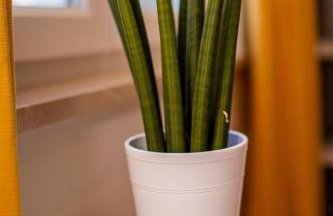 Beautiful view apartment with garage space - Photo 64