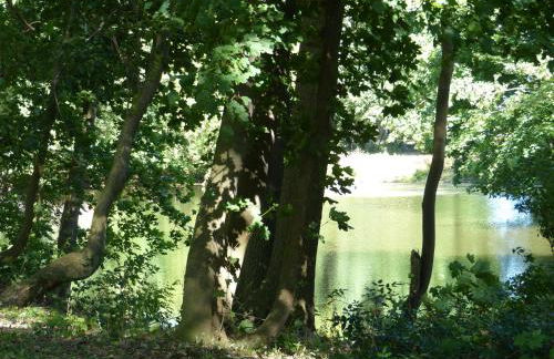 Ferienwohnung mit Brockenblick - Foto 40