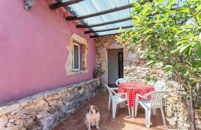 Casa Bi Rosario - Quinta Amoreira - Foto 29