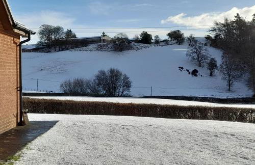 The Hut B & B - Foto 17